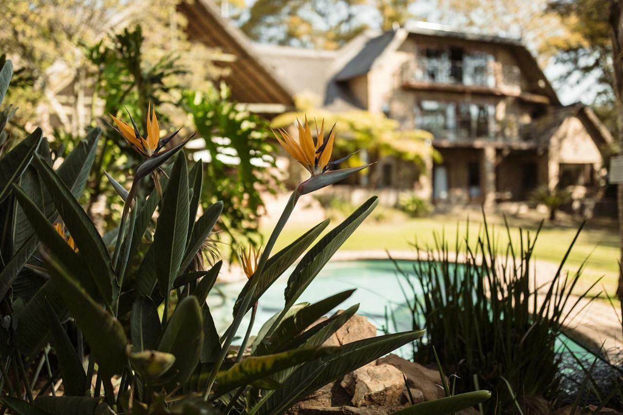 50 On Shepherd Boutique Guest House Sandton Esterno foto